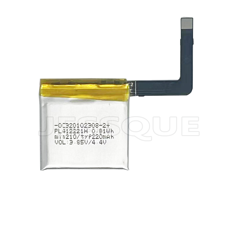 Original 220mAh PL412221H A191 - đánh giá và giá Smartwatch A1914