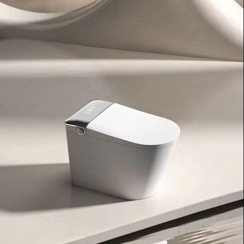 JM810L Intelligent WC Toilet S - đánh giá và giá Smart Accessories